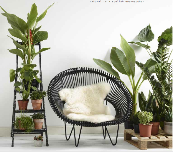 plante-verte-fauteuil-noir-atelier-n°7