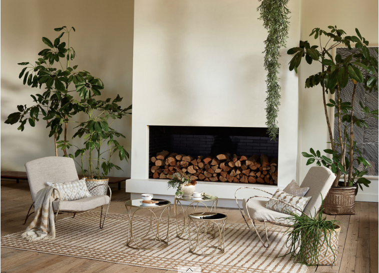 pot-plante-verte-panier-osier-Zara