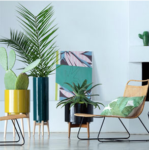 support-plante-verte-cache-pot-ampm-florian
