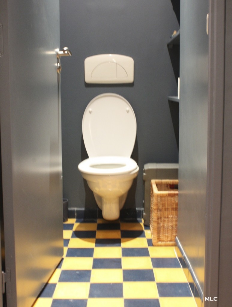 carrelage-tile-toilette-fun