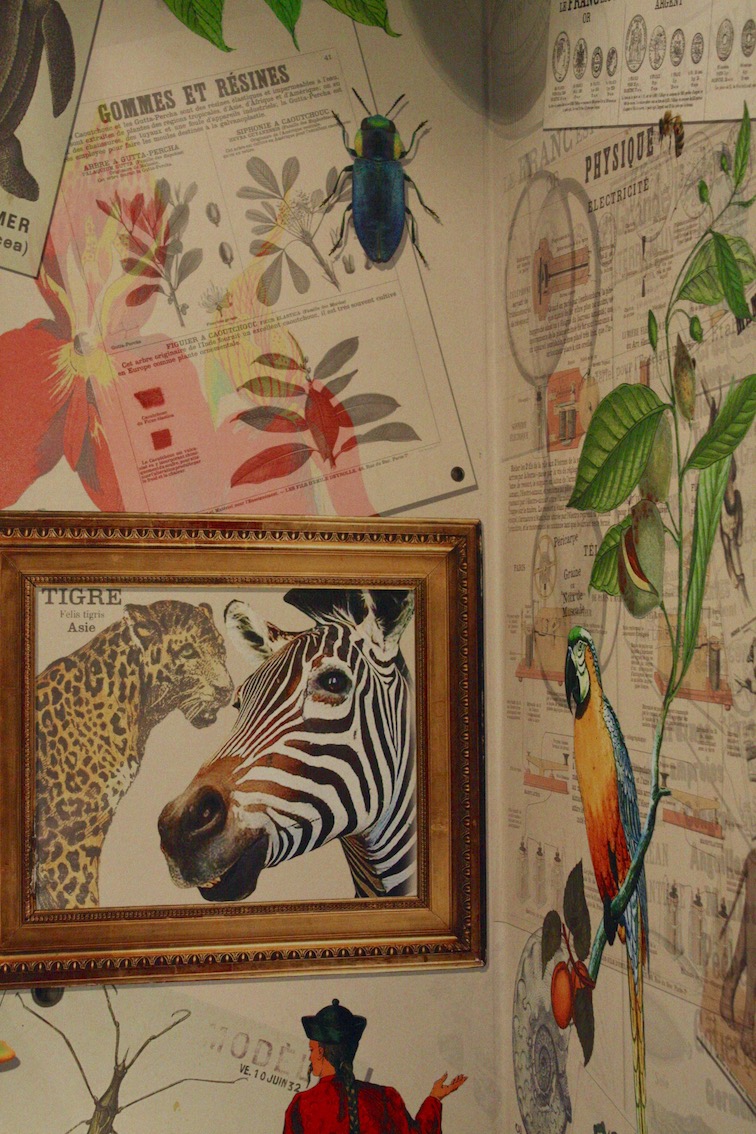 papier-peint-tropical-jungle-botanique-deyrolle